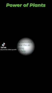 #gardening with Usman#nature #flowers #plants #learning #health #reels #trendingreels #viral #usmanbabarqureshi