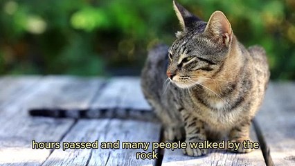 "The Golden Rock: Wisdom in Challenges"