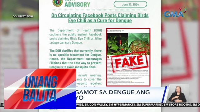DOH – Hindi gamot sa dengue ang siling labuyo | Unang Balita