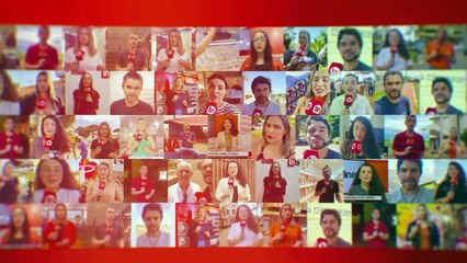 Veterinário examina cachorro que foi agredido em bar de Ivaiporã; veja