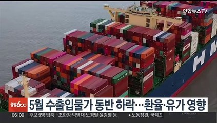 5월 수출입물가 동반 하락…환율·유가 영향