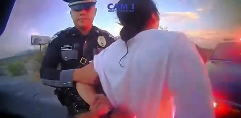 The most painful traffic stop ever