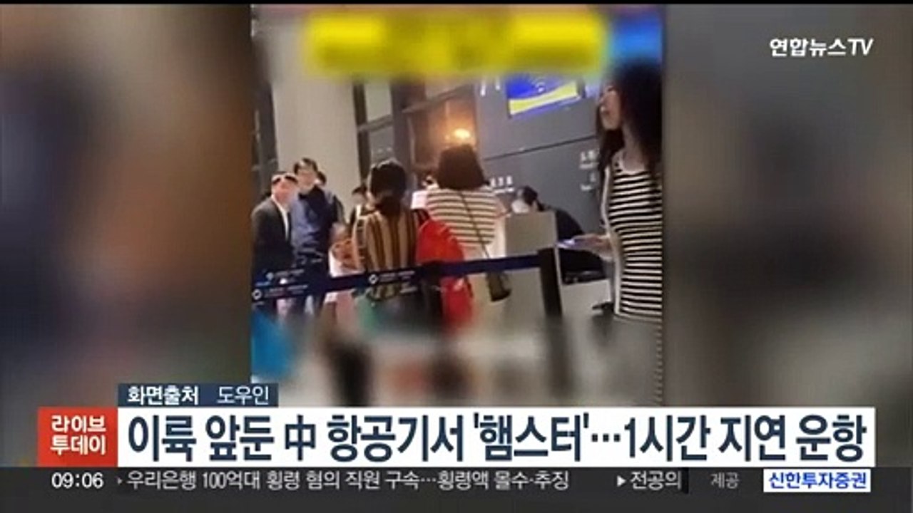 이륙 앞둔 중국 항공기서 '햄스터'…1시간 지연 운항