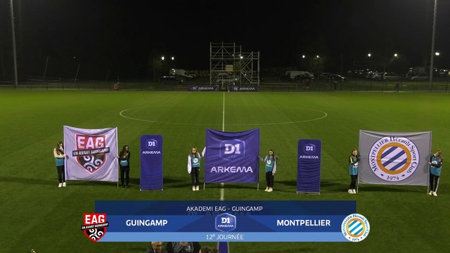 J12 I EA Guingamp - Montpellier HSC (0-1) en replay