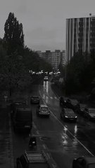 "Living with Purpose: An Islamic Guide""Unity and Compassion: An Islamic Message"