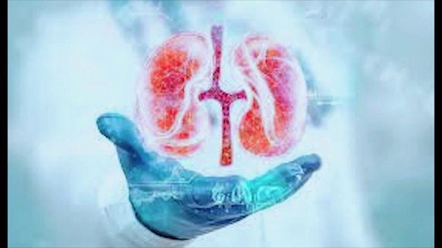 Kidney Health (Prevent Stone Formation) گردوں کی صفائی، پتھری سے نجات #health