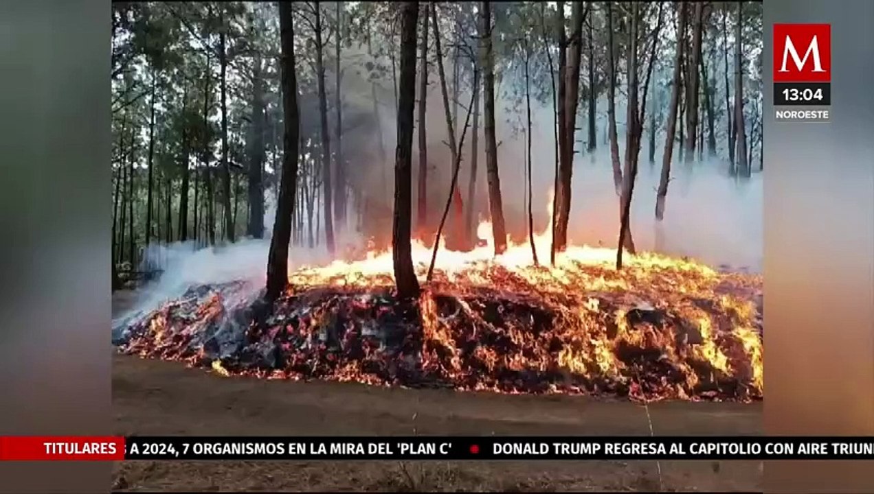 Logran controlar incendio forestal que duró activo por una semana en Jalisco