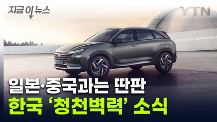 수출 1대도 못했다...'한국 수소차' 처참한 성적표 [지금이뉴스] / YTN