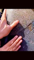 حضور اکرم ﷺ نے فارمایا بےشک تو جو کچھ کھرچ کرین