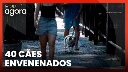 Polícia investiga 40 cães envenenados na Barra da Tijuca