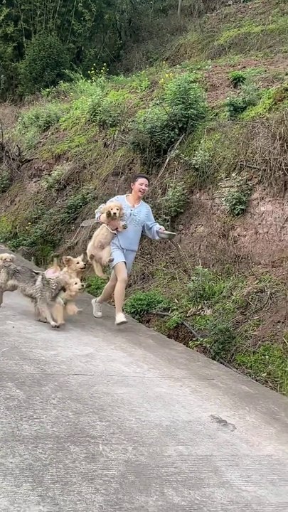 Funny videos) very funny #