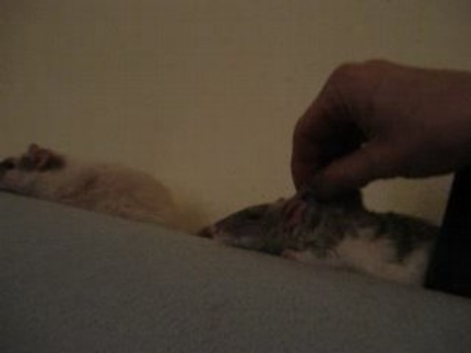 Il est mort