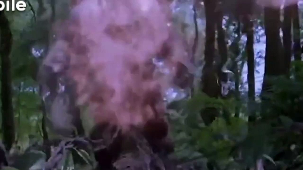 a dangerous land چینی میں ایک خطرناک جزیرہ پر