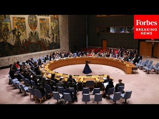 ‘It Speaks Volumes’: Mother Of Hostage In Gaza Touts UN Security Council’s Passage Of Ceasefire Plan