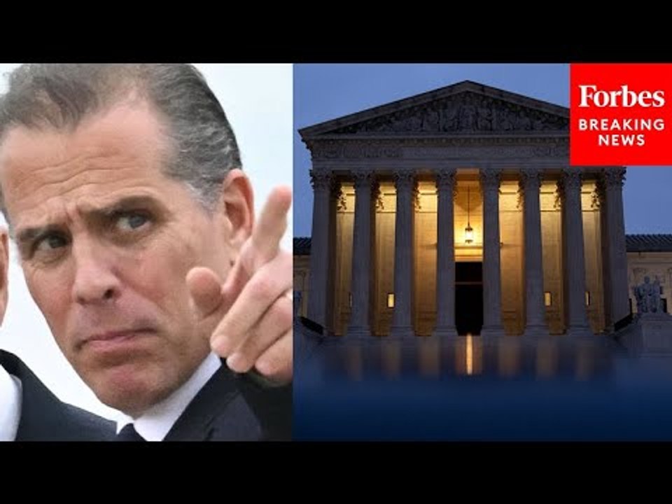 GOP Will Defend Hunter Biden's Constitutional Gun Rights During Possible Appeal: Political Scientist