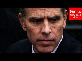 Political Scientist: Here's Why The Evidence Against Hunter Biden In Gun Case Was 'Overwhelming'