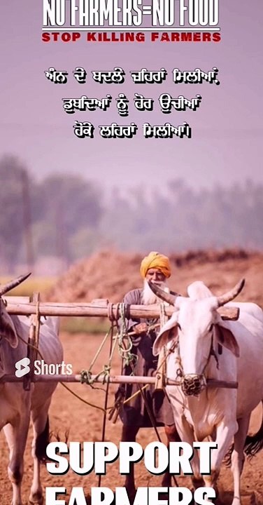 khawab me hal chalana, hal khareedna ya Lena, hal tota dekhne ki tabeer