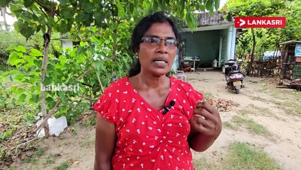 வட்டுக்கோட்டையில் வன்முறை குழு அட்டகாசம் - நகை மற்றும் பணம் திருட்டு