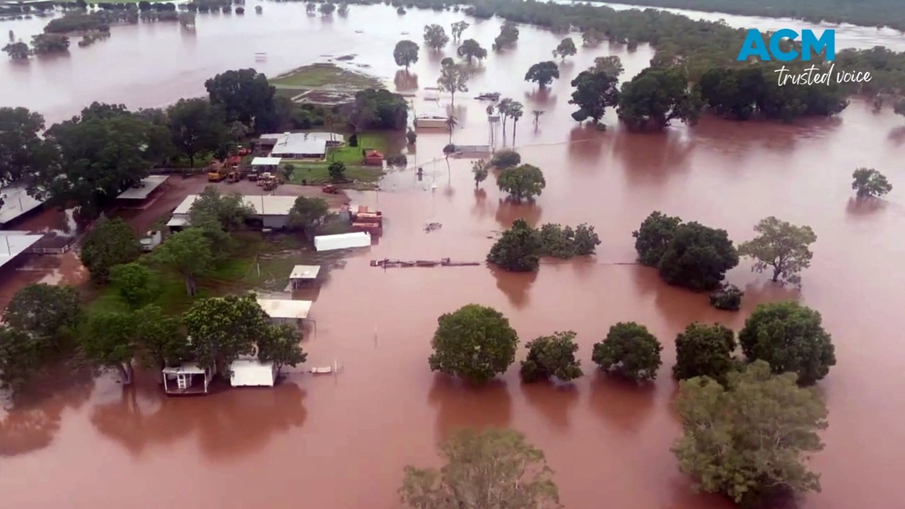 Bull returns home 6 months after getting washed away in flood | Katherine Times | June 14, 2024