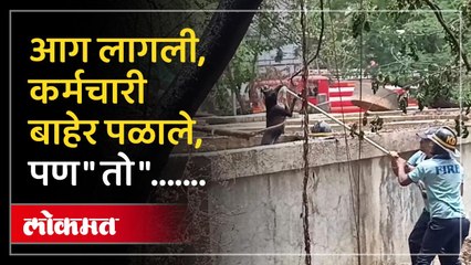 आग लागली ,सर्व बाहेर आले पण "तो "आतमध्येच अडकला होता....