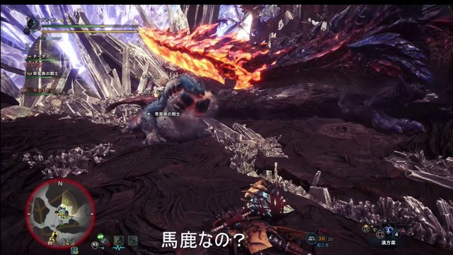 【ゆっくり実況単発】モンハン