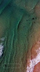 boys facts  #emotional #facts #love #forever