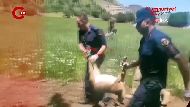 Samsun’da bebek bezi fabrikası alev alev yanıyor