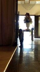 Holding the door #shorts #viral #trending #foryou #tiktok #delicious #gaming #reels#dailymotion #France #Pakistan #Algeria #India #USA #Iran #entertainment #tour #fun