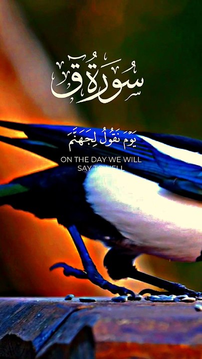 #Islamic Teachings"#Islam#Quran#Surah#taqareer#fly