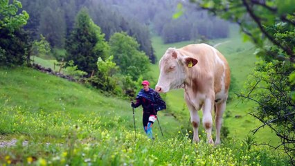 mozart 100 by UTMB | 2024 Event best of