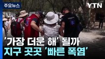 2024년 '역대 가장 더운 해' 될까...지구촌 폭염 몸살 / YTN