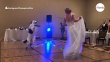 Braut „betrügt“ Ehemann beim ersten Tanz: Gäste auf Hochzeit bestürzt (Video)
