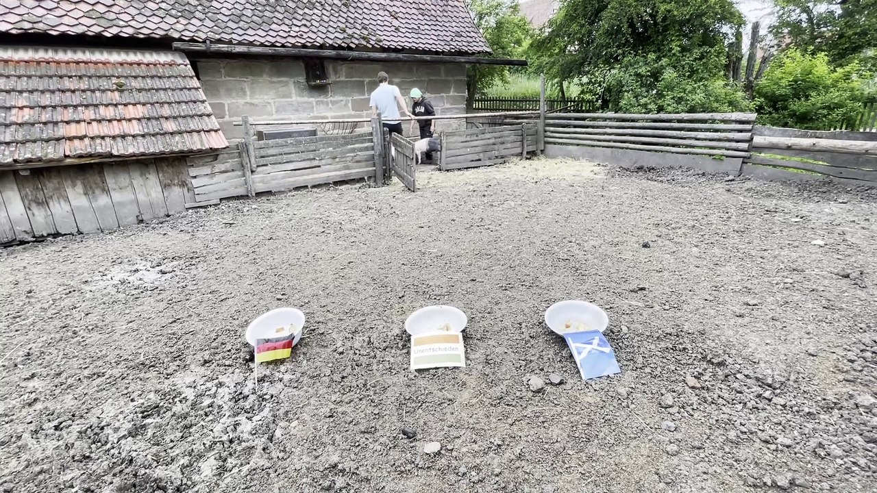 EM-Orakel Ferkelchen