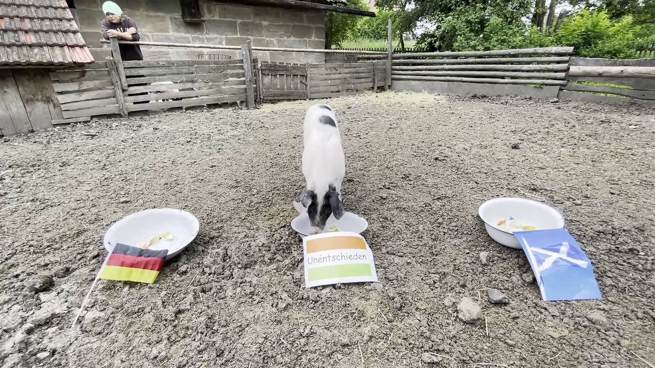 EM-Orakel Ferkelchen 2