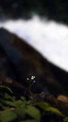 lesson for daily life | motivation | Daily Drive