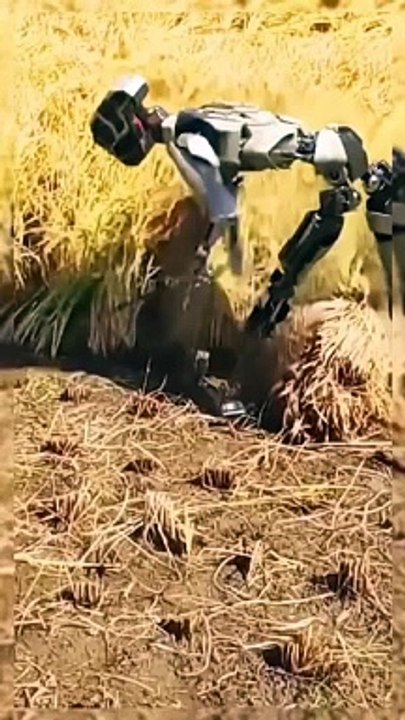 Robot Farmer 