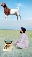 Eid_UL_Adha_2024_Vfx_#Bakraeid_#eiduladha_#vfx_#capcutedit_#cartoon_#bakra(1080p)
