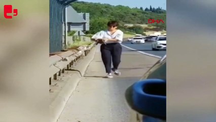 Otoyolda araçları durdurarak kaplumbağayı ezilmekten kurtardı