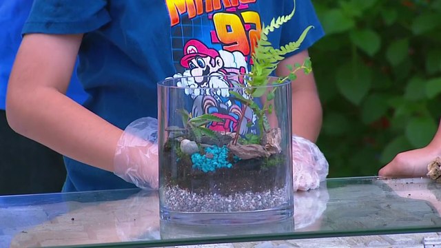 bd-publireportaje-evergreen-170624