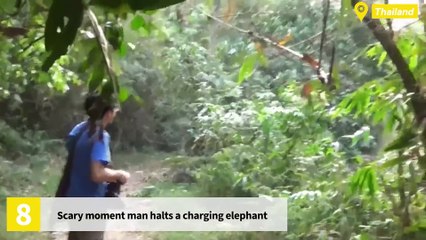 Top 10 Most Intense Wild Animal Encounters