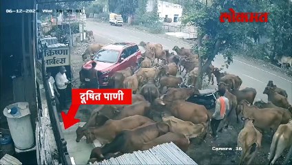 दूध घेण्याआधी पाहा, ‘हे’ दूध विक्रेते काय करतायत?