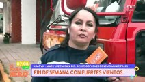 Alerta por vientos; recomiendan no parquear bajo árboles
