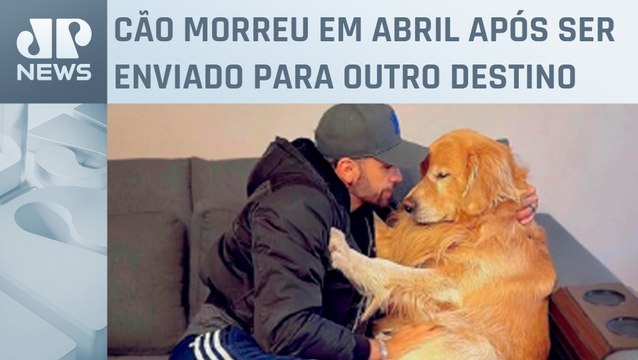 Corpo do cachorro Joca será cremado em São Paulo neste sábado (15)