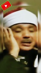 قاری عبدالباسط عبدالصمد#Qurantilawat#Islamicvideo#trendingvideo#islam#Allah#Muhammad