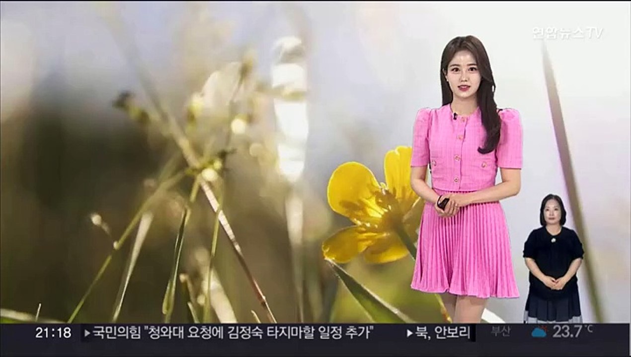 [날씨] 주말 내륙 비·소나기…남부 한낮 30도 안팎