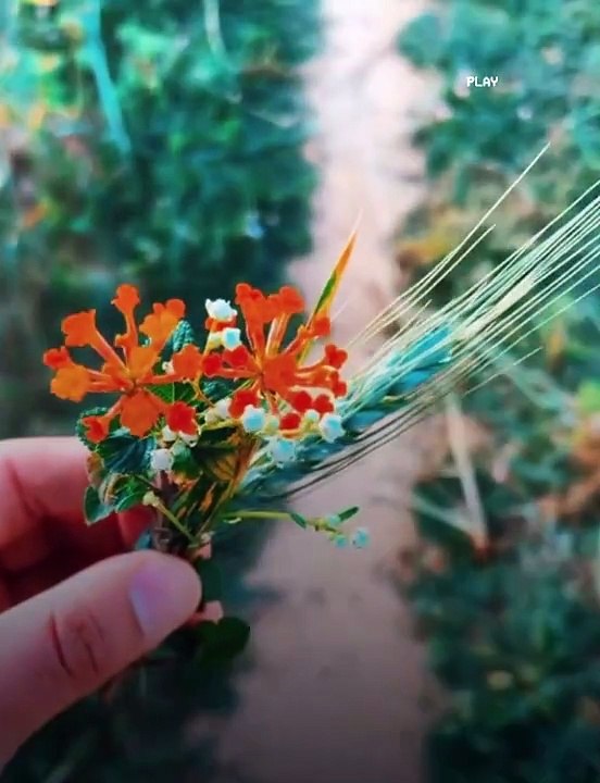 New music 2024 new songs 2024 songs travel video travelling video