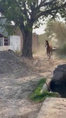 Entertainment my first vlog video