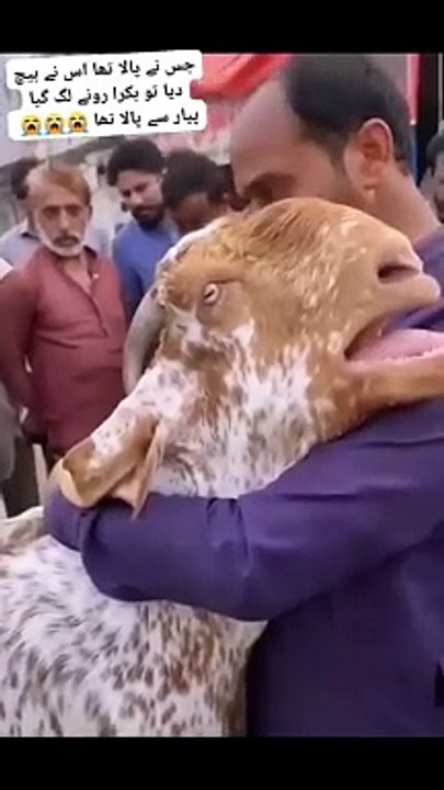 Bakra Eid