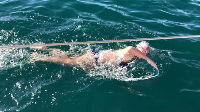Ultramarathon swimmer joined by seal during record-breaking swim across Channel