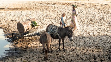 Brits are becoming greener after seeing climate disasters